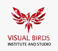 Visual Birds