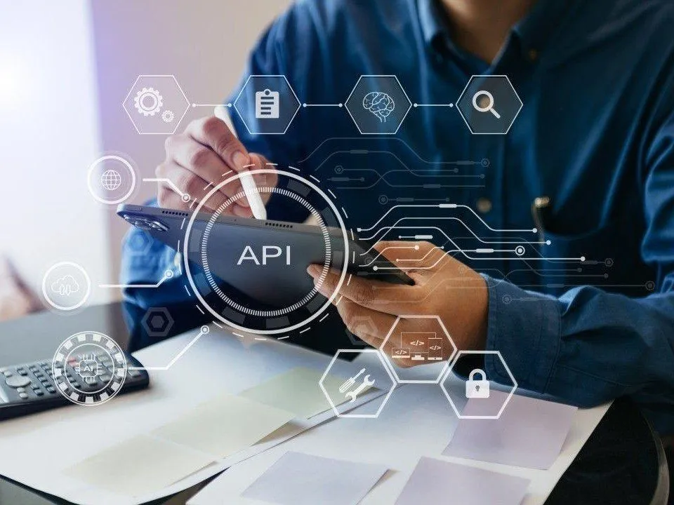 API Developer