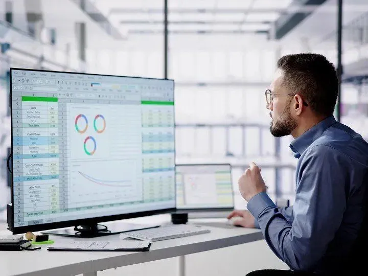Data Analyst