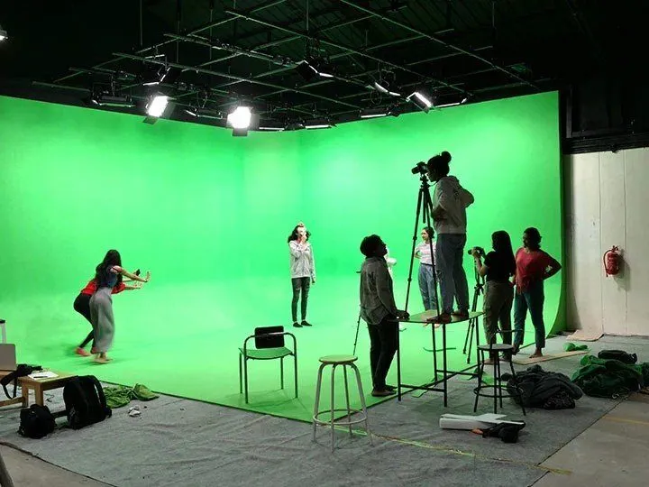 Studio & Production House Roles